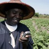 From Literacy to Literacies? mobile-credit-cnn