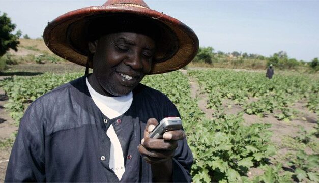 African Male farmer in field looking at a mobile phone