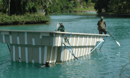 AusAID Symposium: Skills Development for Productive Lives in the Pacific