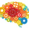 SDGs, social equity and the contents of your working memory Gears making up brain shape