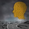 A Post-2015 Skills Sub-Goal: Confusion still Reigns Confused-Goals-and-Skills