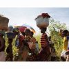The challenge and relevance of the global monitoring of education and migration Image depicting migration
