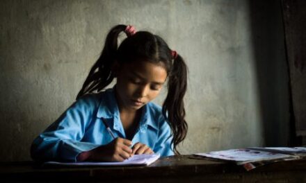 Who is responsible for ensuring gender equality in education?