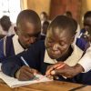 Strengthening inclusive practice of education system actors: What we can expect to see at the conference in September Education System Actors