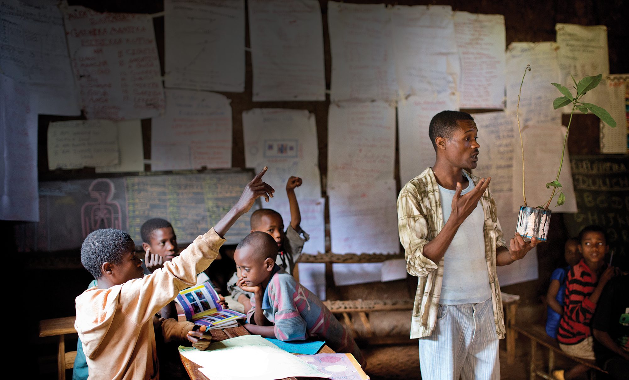 Children in class with their hands raised