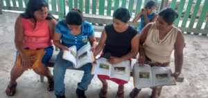 UEA UNESCO Chair free #ALL4SOCIALCHANGE PhD webinar on Bilingual Literacy for Life: an ethnographic study of an indigenous language literacy programme in Mexico