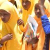 UKFIET 2019: Opportunities and insights for CARE’s GEC projects Ellen Chigwanda GEC