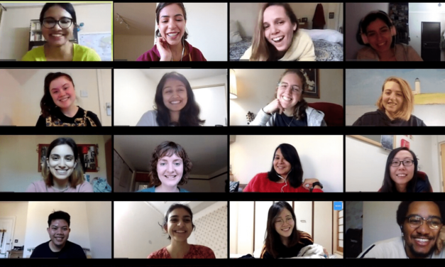 Zoom group call with faces of 16 people