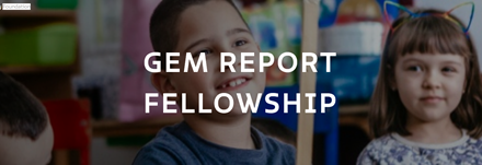 GEM Report Fellowship 2021 – Call for proposals