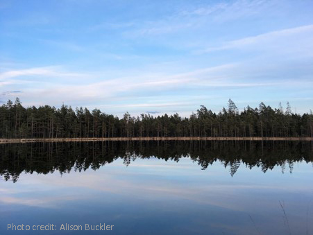 A very still lake with blue skies and trees reflected