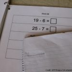 Expanding understanding of the use of Large-Scale Assessments for educational improvement