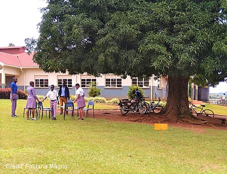 Students set up chairs in a circle under a tree, Uganda.