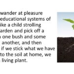 seedling plant with cross section of soil showing roots beneath. Text alongside reads: We cannot wander at pleasure among the educational systems of the world, like a child strolling through a garden and pick off a flower from one bush and some leaves from another, and then expect that if we stick what we have gathered in soil at home, we shall have a living plant.