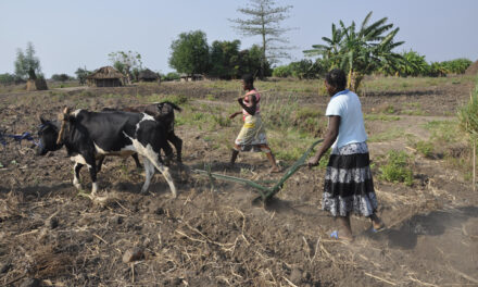 What do we know about the links between girls’ education and climate and environment change?