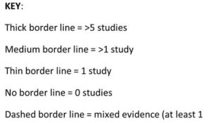 Key:  Thick border line = 5 studies. Medium Border Line = greater than 1 study.  Thin border line = 1 study.  No border line = 0 studies.  Dashed border line = mixed evidence (at least 1)