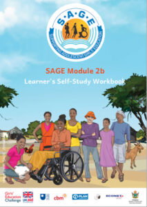Illustration from front cover of Supporting Adolescent Girls’ Education (SAGE), Zimbabwe Open Education Resource self-study workbook adapted for girls. The image shows different young women in a rural context, including a girl in a wheelchair, a young woman with a baby, and others with different professions such as farmer, mobile phone repairer and healthcare worker.