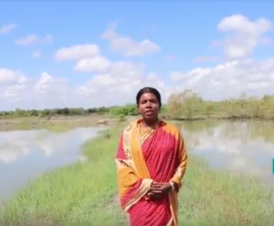 Mamta Mudy, and Indian Woman standing in flooded fields
