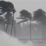 University responses to the climate crisis: reviewing the evidence