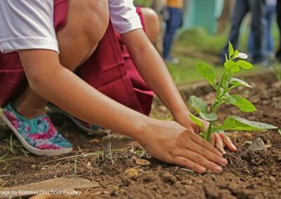 School girl plants a small tree at a planting event