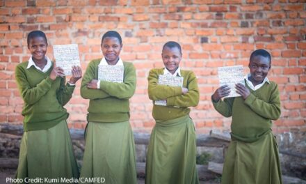 Scaling up an education initiative that supports marginalised girls in Tanzania, Zambia, and Zimbabwe
