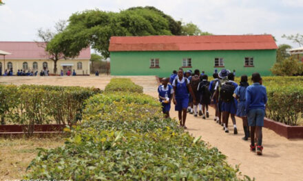 Lots of snakes but where are the ladders? Building environment-smart learning friendly schools responsive to extreme weather