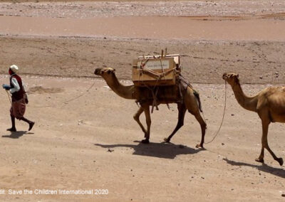 Young man walks in the desert with his two camels, Somali Region of Ethiopia.