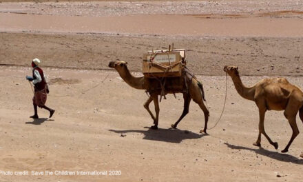 Nurturing their futures: Empowering pastoralist children through education