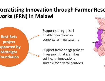 Democratising Innovation through Farmer Research Networks (FRN) in Malawi. Image of Malawi showing regions. Circle with text Best Bets project supported by McKnight Foundation . Arrows to further text: Support scaling of soil health innovations in complex farming systems. Support farmer engagement in research that identifies soil health innovations suitable for diverse contexts.