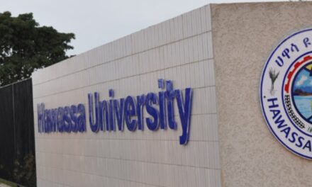 The role of universities in supporting young people to become effective peace builders: The experience of Hawassa University in Ethiopia