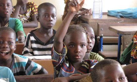 Harnessing implementation science to drive educational transformation in sub-Saharan Africa