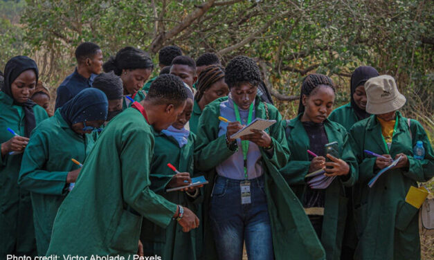 Young people stand under a tree taking notes for a citizen science project.