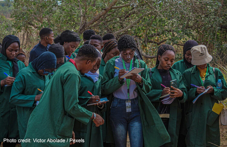 Young people stand under a tree taking notes for a citizen science project.