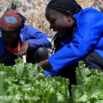 Esther (left) and Naomi (right), CAMFED Association members and Agriculture Guides, at a climate-smart teaching farm in Chinsali, Zambia.
