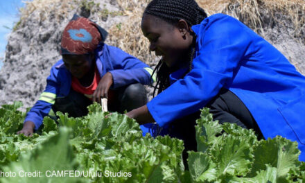 Education and climate justice: Advancing a shared agenda for COP30 and beyond