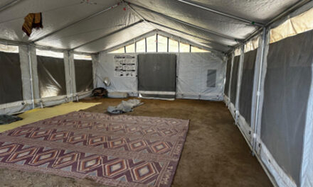 Education in emergencies: Exploring the possibilities and challenges of using Temporary Learning Centres as an alternate learning model