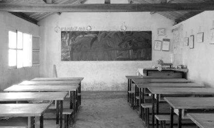 Why are we silent? 9 out of 10 children in Sub-Saharan Africa are not learning, and the elephant in the classroom is still being ignored