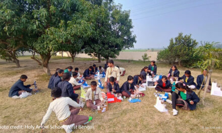 Equal access in education and the digital divide in India