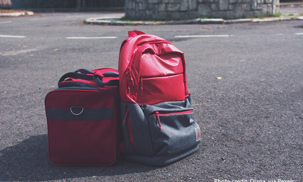 Two bags on the floor next to each other.