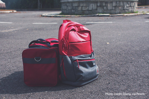 Two bags on the floor next to each other.